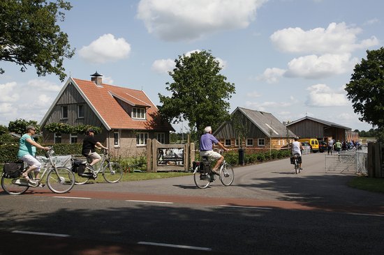bezoek-een-open-dag-op-een-kalverhouderij